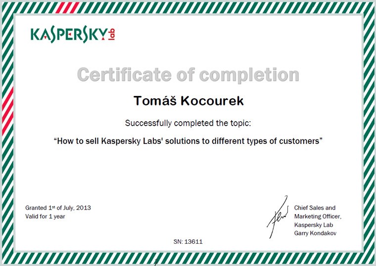 Kaspersky Labs Solutions for customers 2013